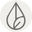 Alchemy of Skincare logo