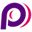 Panaracer Tyres logo